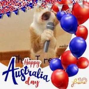 Meet your Posher, Janette